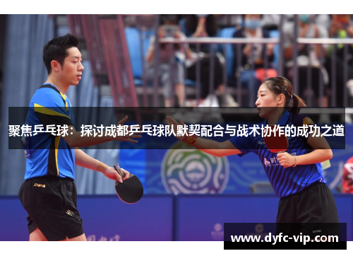聚焦乒乓球：探讨成都乒乓球队默契配合与战术协作的成功之道