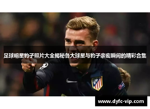 足球明星豹子照片大全揭秘各大球星与豹子亲密瞬间的精彩合集